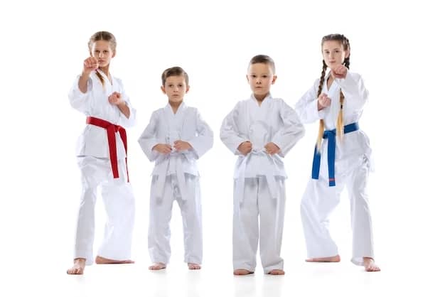 Martial arts summer camps in Etobicoke